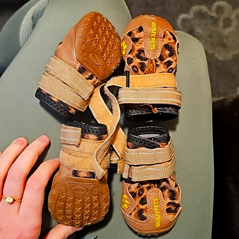 Dog boots